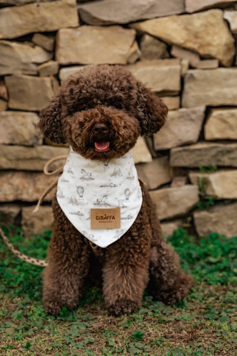 Interlar Bebés Mallorca